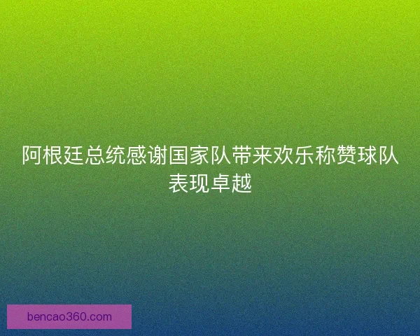 阿根廷总统感谢国家队带来欢乐称赞球队表现卓越