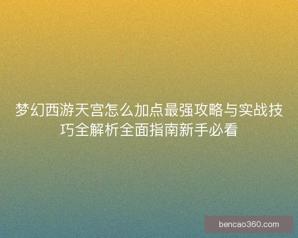 梦幻西游天宫怎么加点最强攻略与实战技巧全解析全面指南新手必看