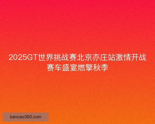 2025GT世界挑战赛北京亦庄站激情开战赛车盛宴燃擎秋季
