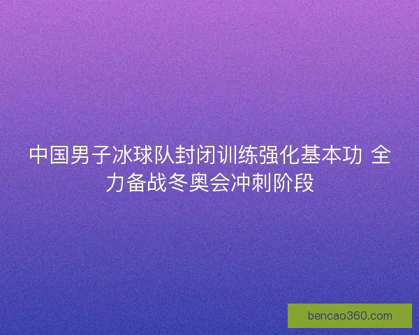 中国男子冰球队封闭训练强化基本功 全力备战冬奥会冲刺阶段