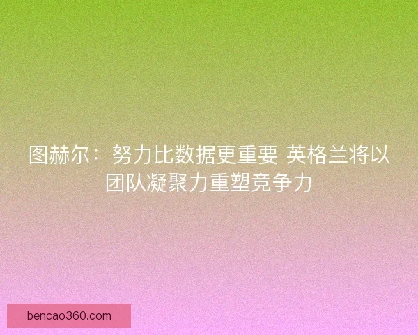 图赫尔：努力比数据更重要 英格兰将以团队凝聚力重塑竞争力