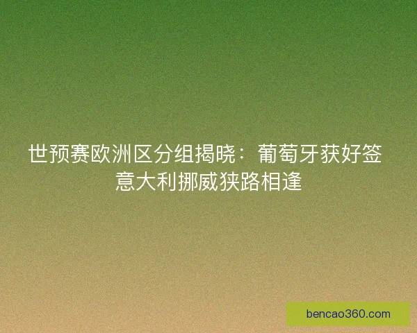 世预赛欧洲区分组揭晓：葡萄牙获好签 意大利挪威狭路相逢