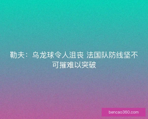 勒夫：乌龙球令人沮丧 法国队防线坚不可摧难以突破