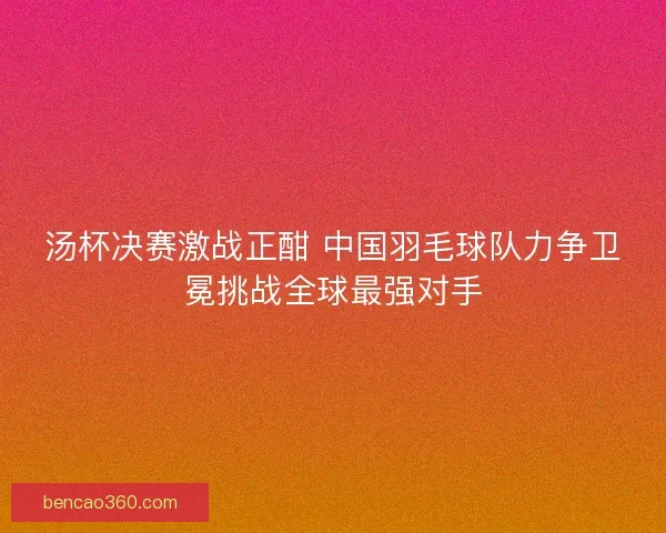 汤杯决赛激战正酣 中国羽毛球队力争卫冕挑战全球最强对手