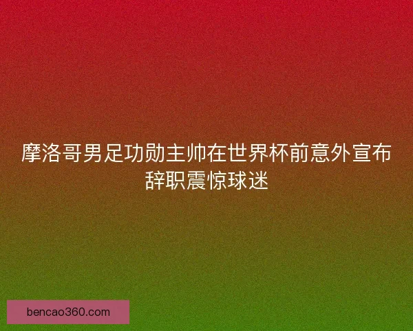 摩洛哥男足功勋主帅在世界杯前意外宣布辞职震惊球迷