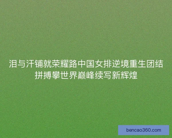 泪与汗铺就荣耀路中国女排逆境重生团结拼搏攀世界巅峰续写新辉煌